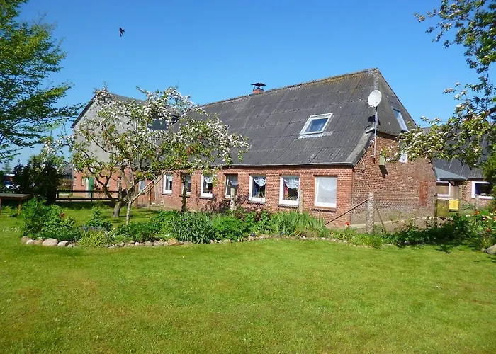 Nordseerex