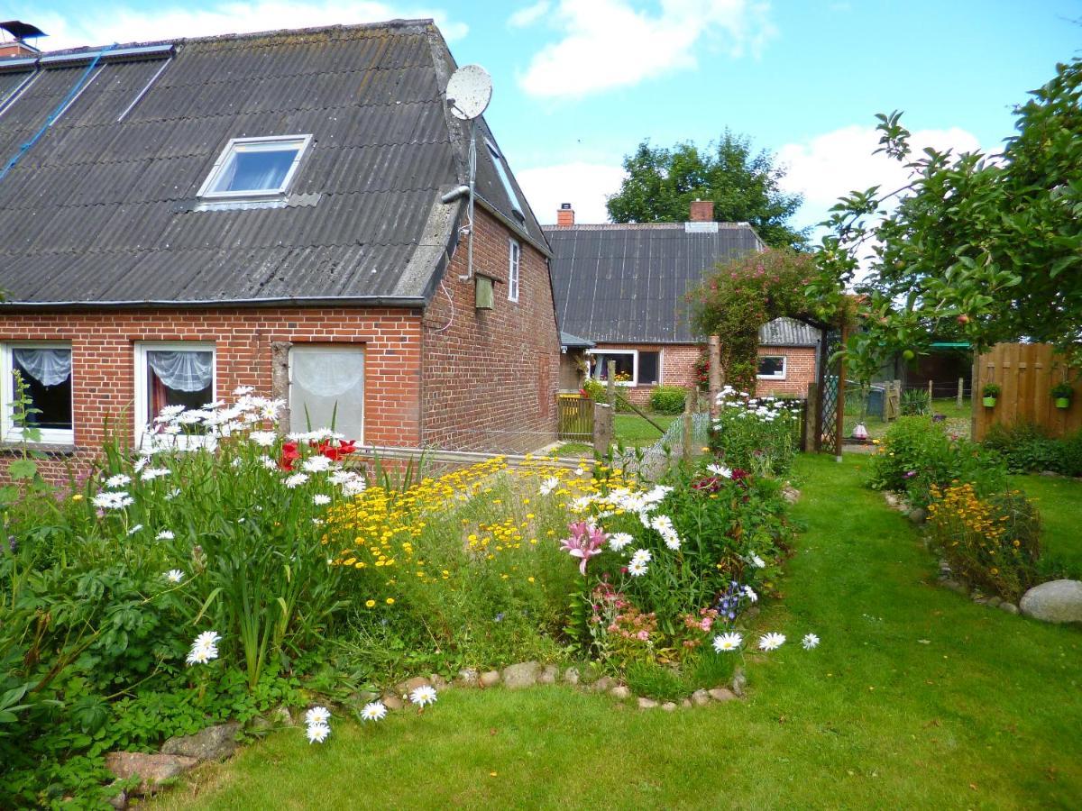 Nordseerex Ahrenshoft