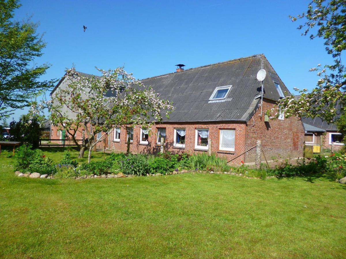 Nordseerex